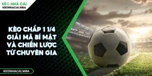 Kèo chấp 1 1/4 Giải mã bí mật và chiến lược từ chuyên gia