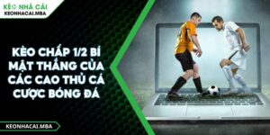 Kèo Chấp 1/2 Bí Mật Thắng Của Các Cao Thủ Cá Cược Bóng Đá