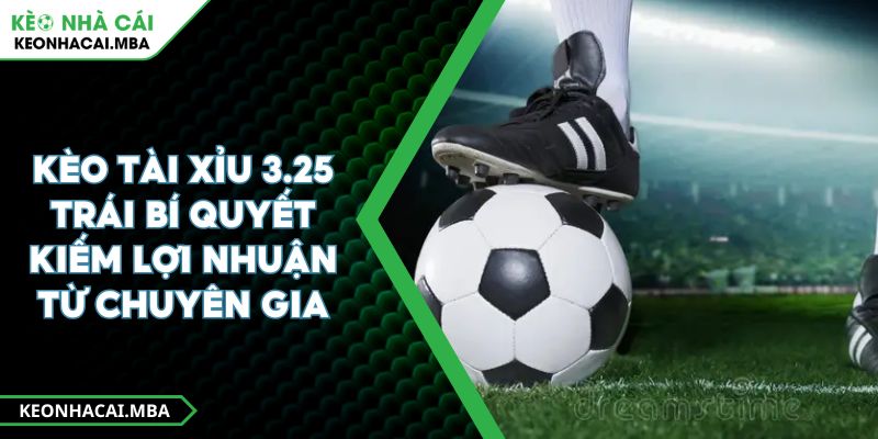 Kèo Tài Xỉu 3.25 Trái Bí Quyết Kiếm Lợi Nhuận Từ Chuyên Gia