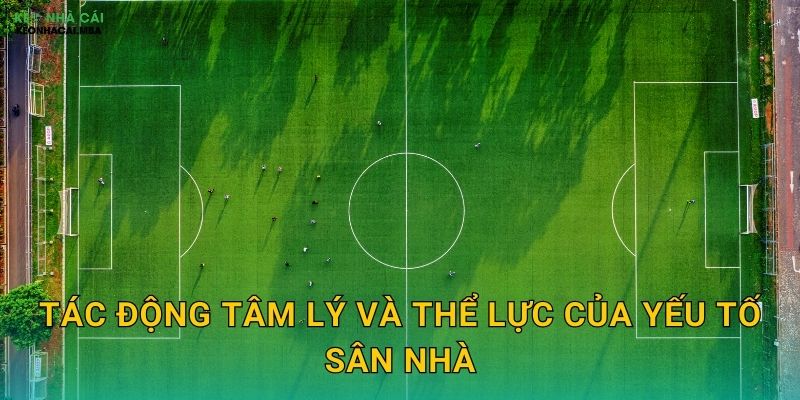 Tác động tâm lý và thể lực của yếu tố sân nhà