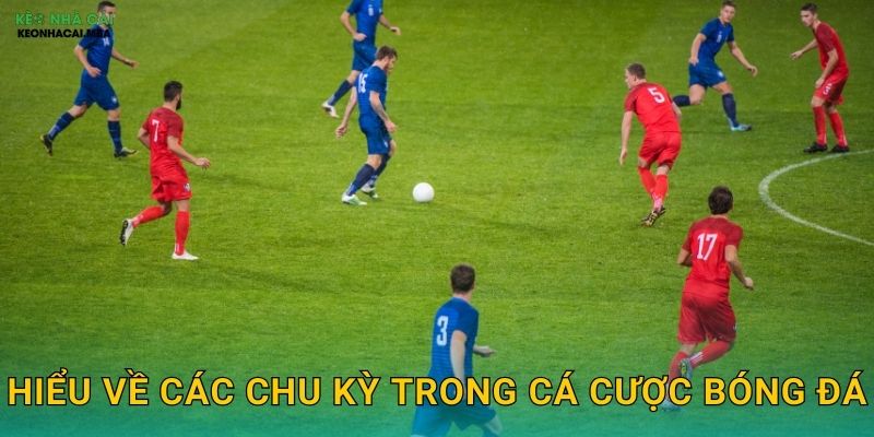 Hiểu về các chu kỳ trong cá cược bóng đá