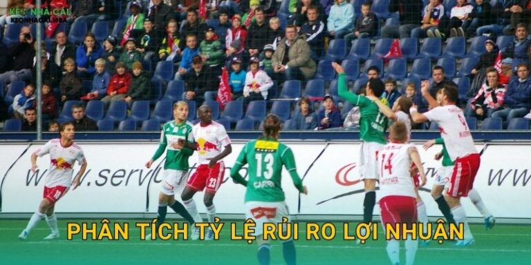 Phân Tích Tỷ Lệ Rủi Ro Lợi Nhuận – Cân Nhắc Thông Minh Trước Mỗi Quyết Định Keonhacai MBA