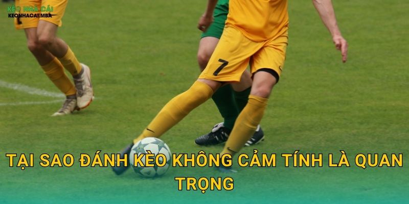 Tại sao đánh kèo không cảm tính là quan trọng