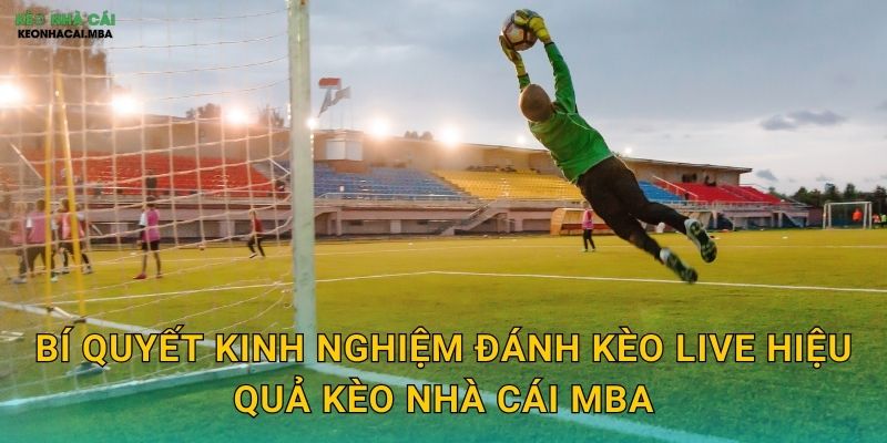 Bí quyết kinh nghiệm đánh kèo live hiệu quả kèo nhà cái mba