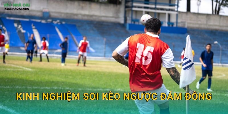 Kinh Nghiệm Soi Kèo Ngược Đám Đông – Dám Khác Biệt Để Thành Công Tại Kèo Nhà Cái MBA