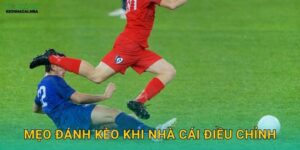 Mẹo Đánh Kèo Khi Nhà Cái Điều Chỉnh – Nắm Bắt Cơ Hội Tại Keo nha cai MBA