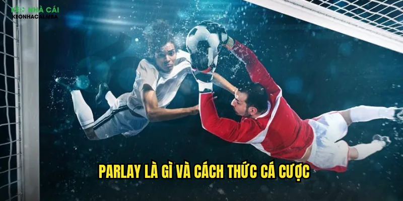 Parlay là gì và cách thức cá cược