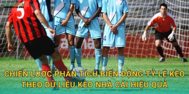 Chiến lược phân tích biến động tỷ lệ kèo theo dữ liệu kèo nhà cái hiệu quả