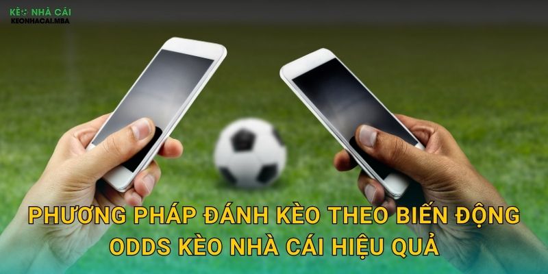 Phương pháp đánh kèo theo biến động odds kèo nhà cái hiệu quả