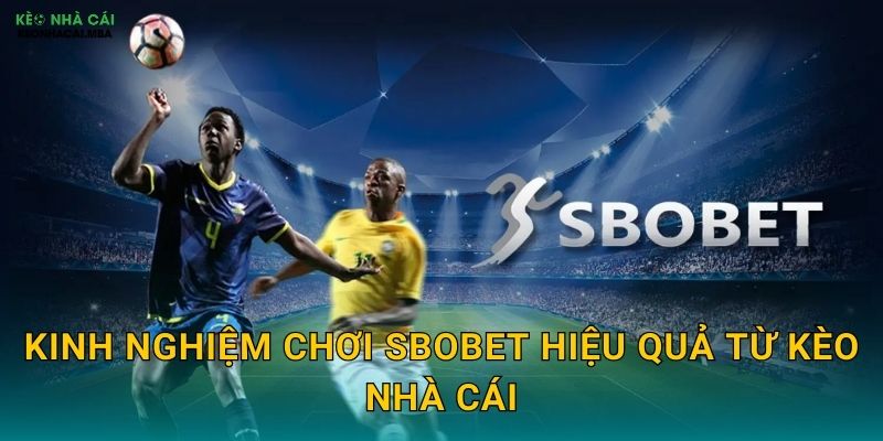 Kinh Nghiệm Chơi SBOBET Hiệu Quả Từ Kèo Nhà Cái