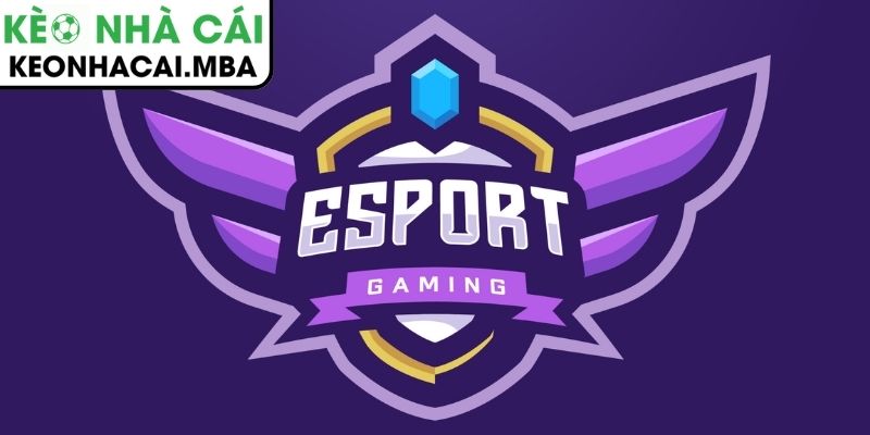 Cá cược Esports là gì?
