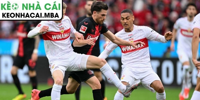 Thông tin lực lượng Bayer Leverkusen vs Stuttgart (00:30 11/01, Bundesliga)