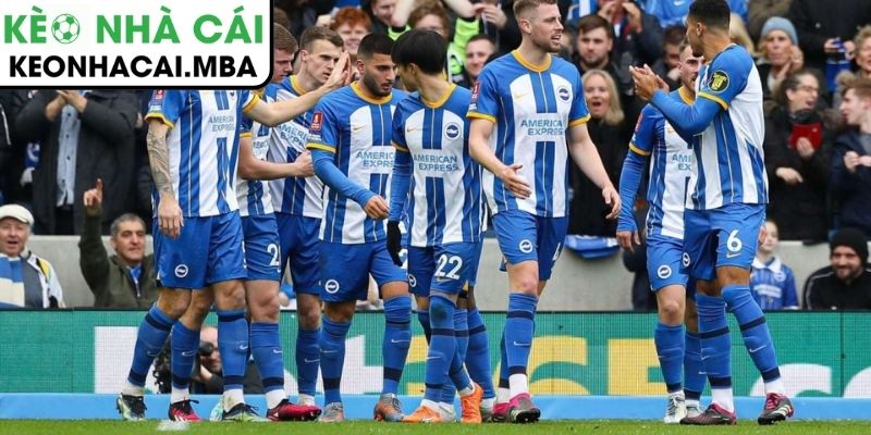 Phong độ Brighton
