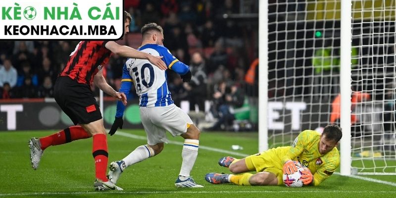 Thông tin lực lượng trận Brighton vs AFC Bournemouth (03:00 20/01, Ngoại hạng Anh)