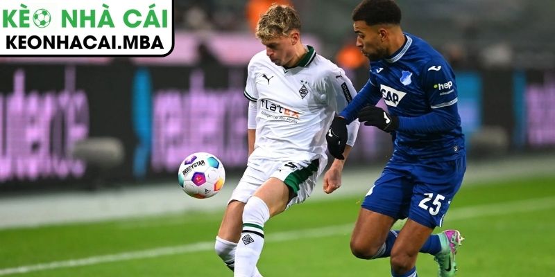 Soi kèo Hoffenheim vs Monchengladbach (02:30 15/01, Bundesliga) 4 Thông tin lực lượng trận Hoffenheim vs Monchengladbach (02:30 15/01, Bundesliga)