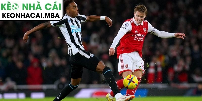 Arsenal đối mặt bài toán khó mang tên Newcastle trên sân nhà lúc 02:30 26/02 3 Newcastle và lối chơi khó chịu quen thuộc