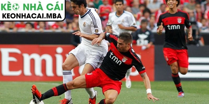 Benfica đối đầu Real Madrid lúc 03:00 18/02 mở ra đại chiến Champions League rực lửa tại Da Luz 4 Cục diện trận đấu Benfica vs Real Madrid và yếu tố quyết định