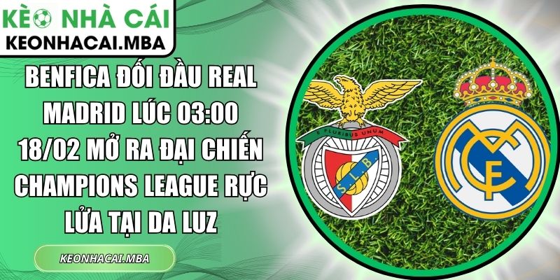 Benfica đối đầu Real Madrid lúc 03:00 18/02 mở ra đại chiến Champions League rực lửa tại Da Luz 1 Benfica đối đầu Real Madrid