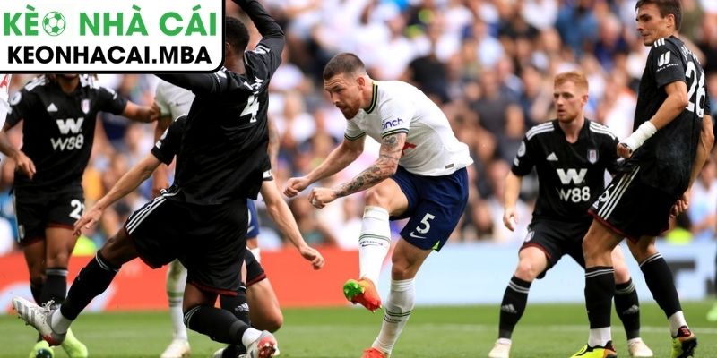 Dự đoán kết quả trận Fulham vs Tottenham Hotspur (21:00 01/03, Ngoại hạng Anh)