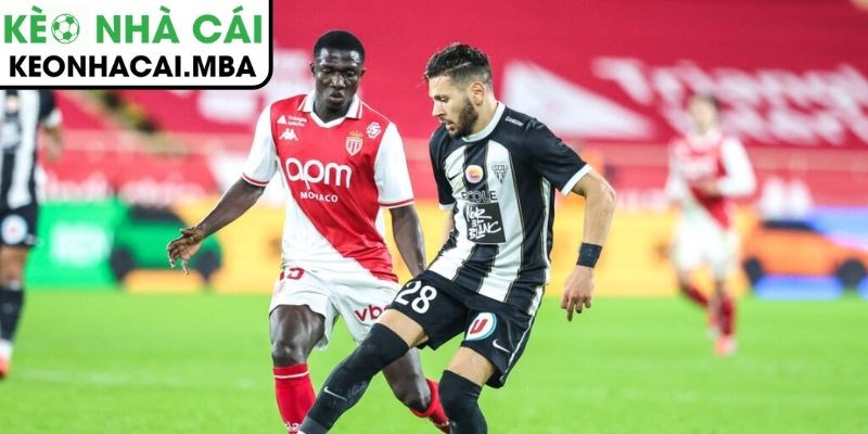Soi kèo Monaco vs Angers SCO (01:00 01/03, Ligue 1) 4 Dự đoán kết quả trận Monaco vs Angers SCO (01:00 01/03, Ligue 1)