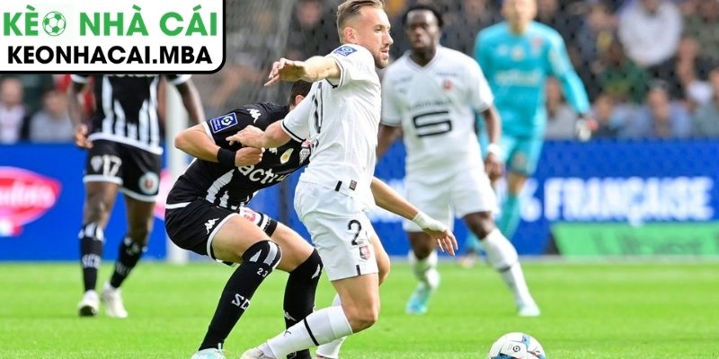 Soi kèo Rennes vs Angers SCO (02:05 12/04, Ligue 1) 4 Thông tin lực lượng trận Rennes vs Angers SCO (02:05 12/04, Ligue 1)