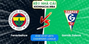 Fenerbahce vs Gornik Zabrze