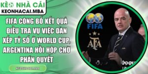 FIFA công bố kết quả điều tra