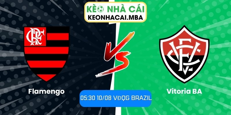 Flamengo vs Vitoria BA