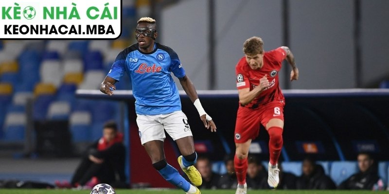 Victor Osimhen quyết định về việc chuyển đến Arsenal 3 Phương án trao đổi đầy táo bạo từ đội ngũ tuyển trạch